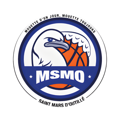 ST MARS D OUTILLE LES MOUETTES - 1