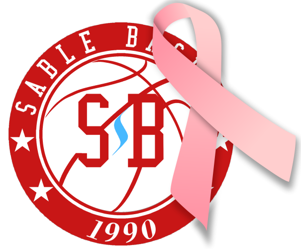 Logo Sablé Basket